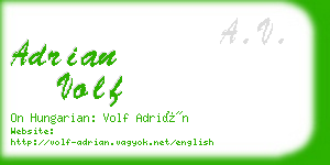 adrian volf business card